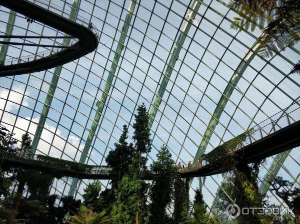 сады залива Сингапур фото Cloud Forest Облачный лес