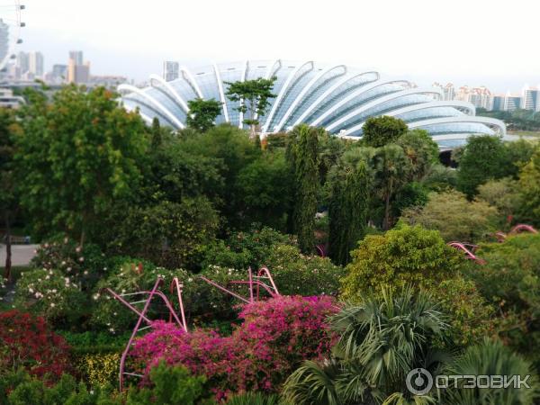 Сингапур парк фото Garden by the bay