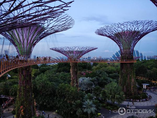 сады залива Сингапур фото Gardens by the Bay