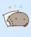 Pusheen cat